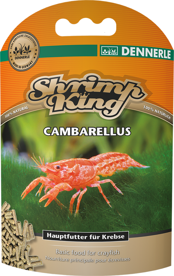 Shrimp King Cambarellus