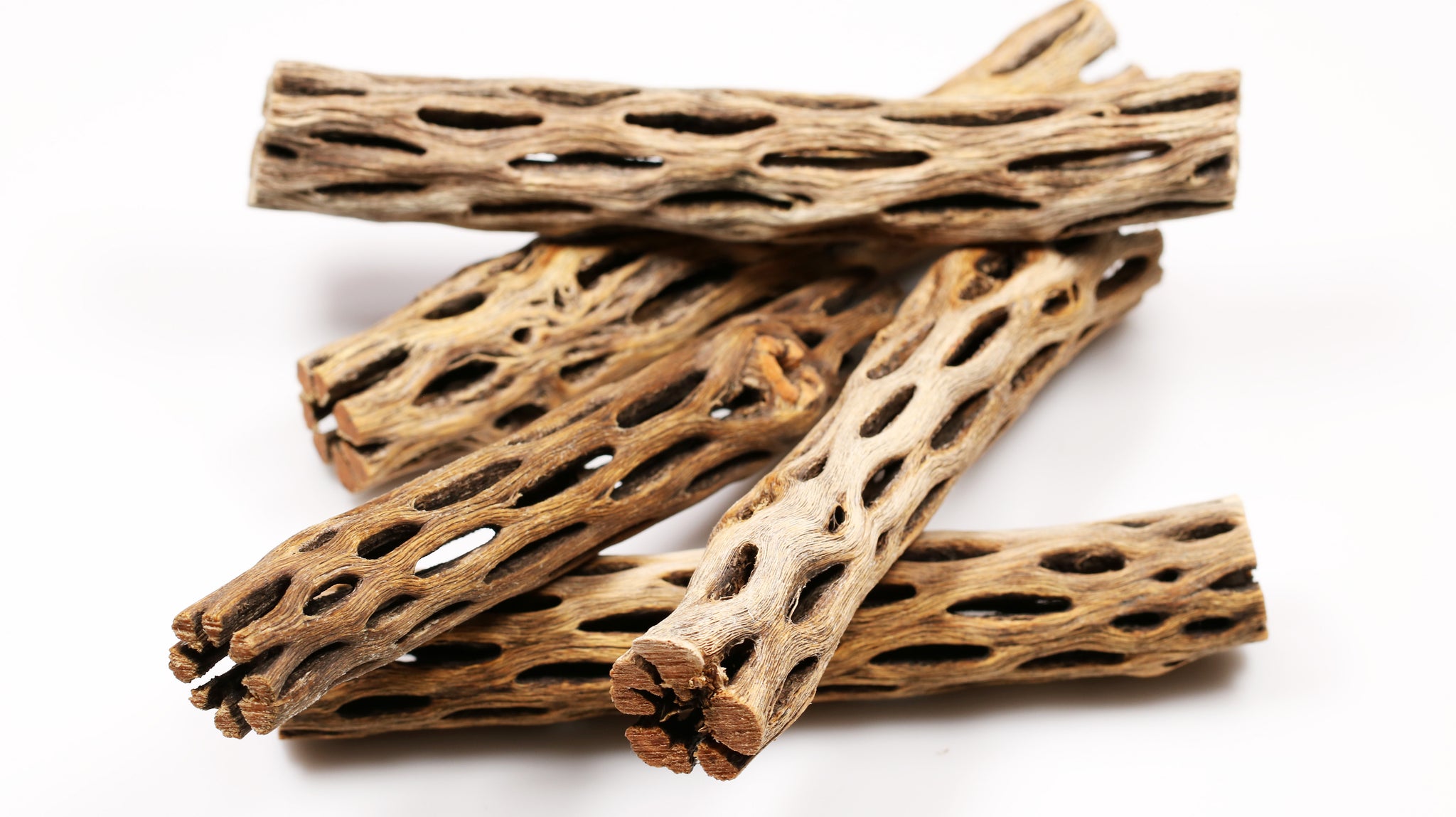 Natural Cholla Wood 6' – Nature Aquascapes