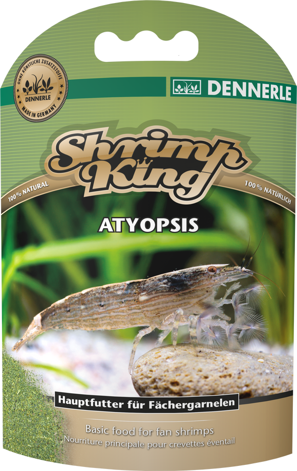Shrimp King Atyopsis