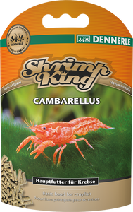 Shrimp King Cambarellus